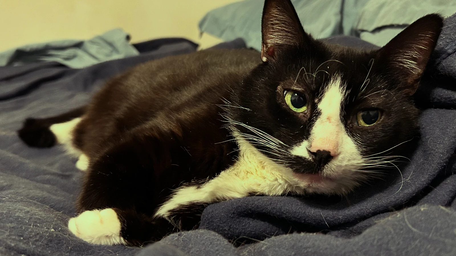 Could I BE any more interested?